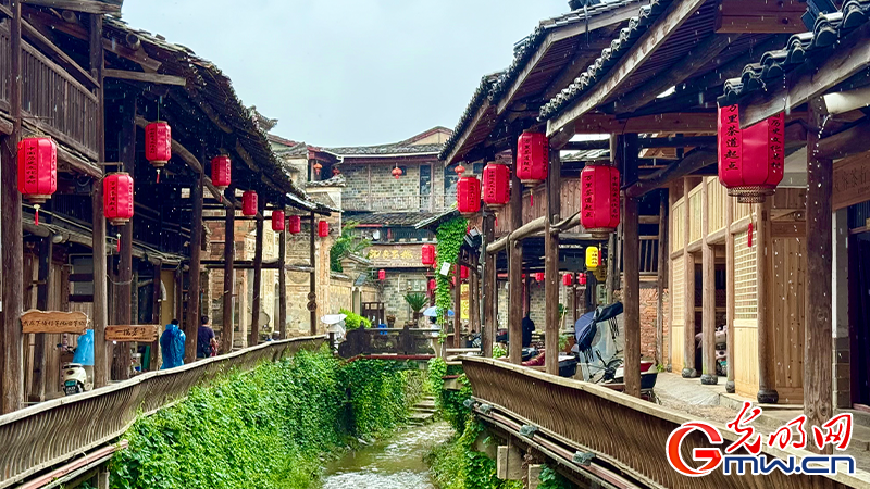 【何以中国】探寻万里茶道起点：穿越古今的茶香