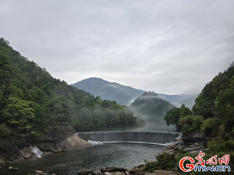 “何以中国·闽山闽水物华新”采风活动在福建南平启动