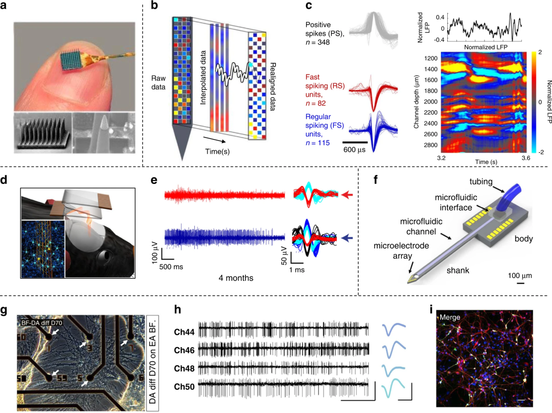 神经元设备和脑机接口有何渊源?
